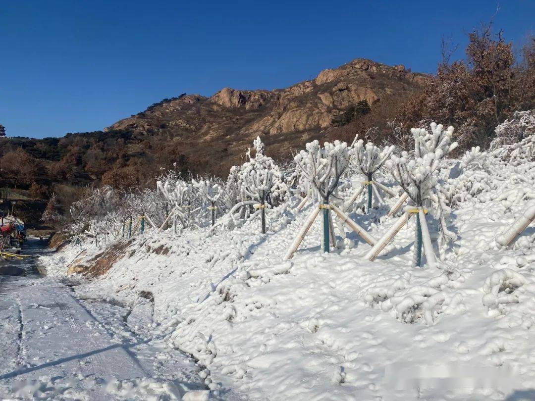 大撫寧驚現一處新奇觀!_紫金山_公園_市民