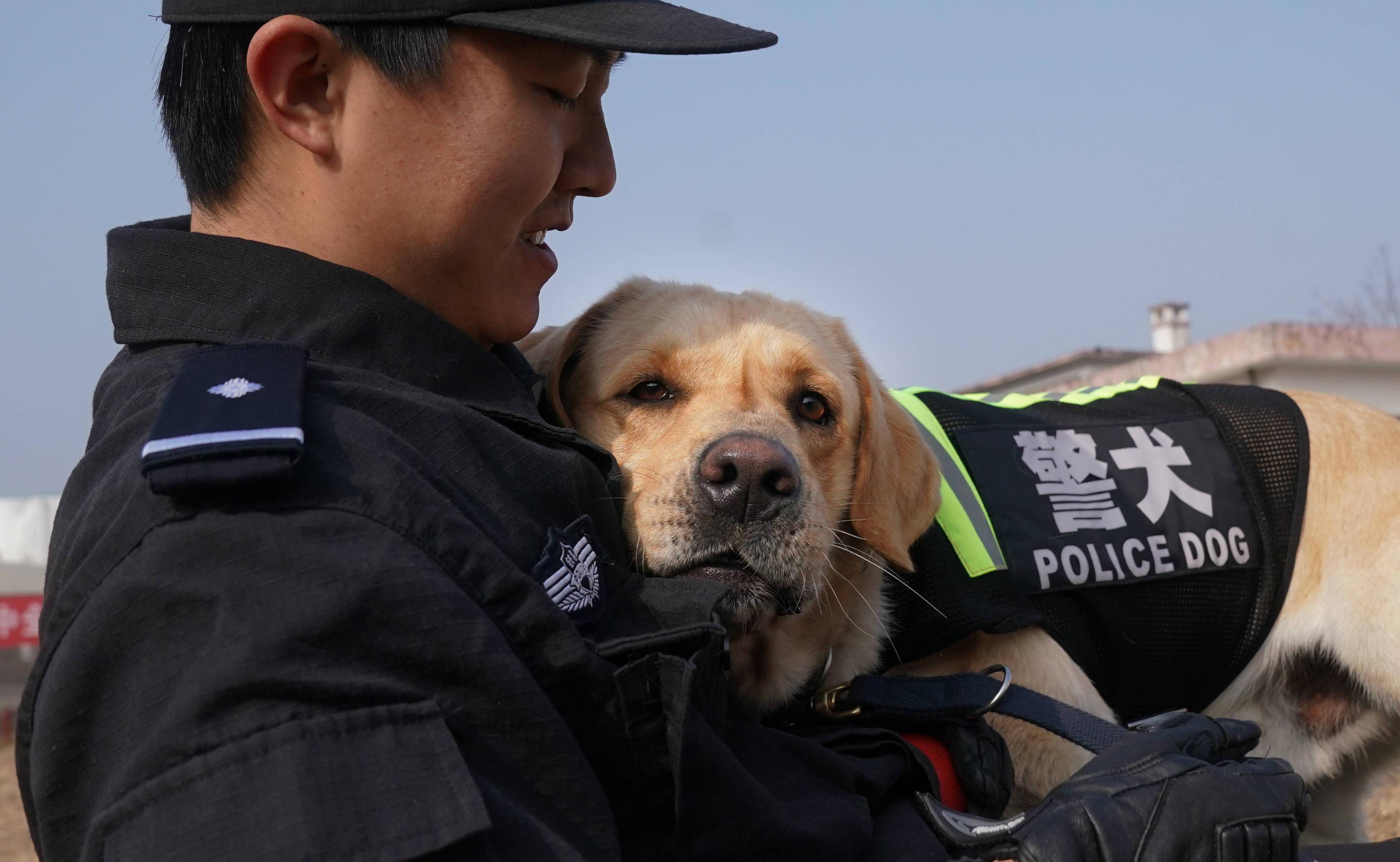 武汉警犬训练备战春运