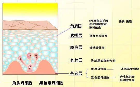 产品秘籍 | 让新欢旧爱们和谐相处，很难嘛？