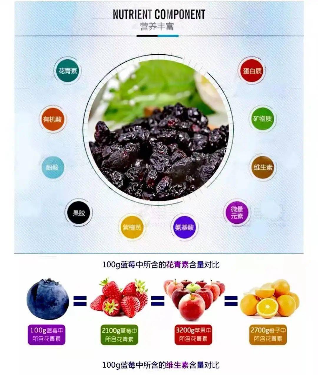 100g蓝莓就含有10种营养成分,是很多果干所不能做到的!