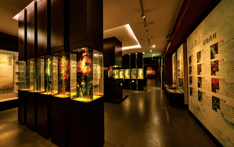 金华这里这个博物馆获评国家aaa级旅游景区