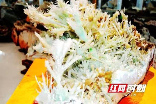 艺术|新宁：“七彩宝石花”入驻满师傅大自然艺术博物馆