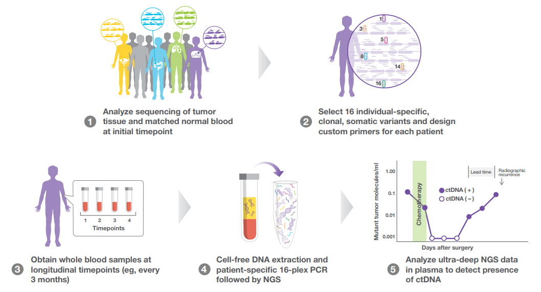 实体瘤MRD技术流派之争！_检测_ctDNAMRD_Natera