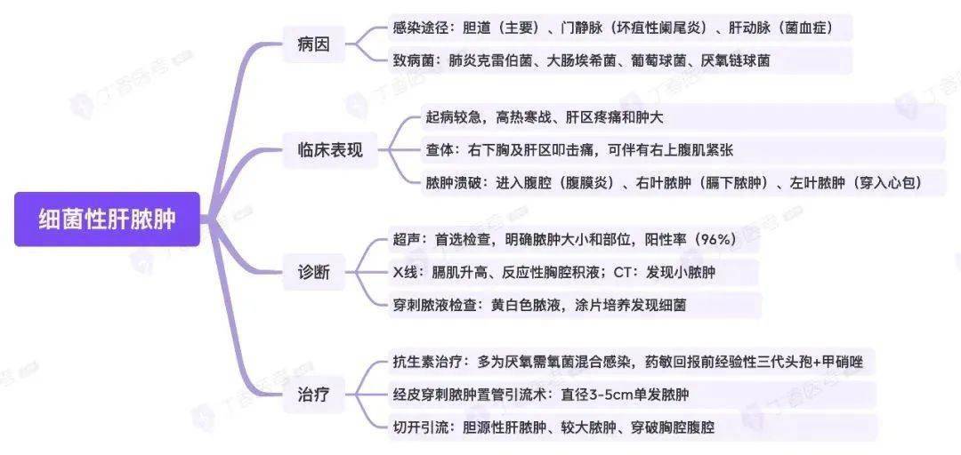 思维导图 | 消化系统之细菌性肝脓肿_考点_真题_丁香医