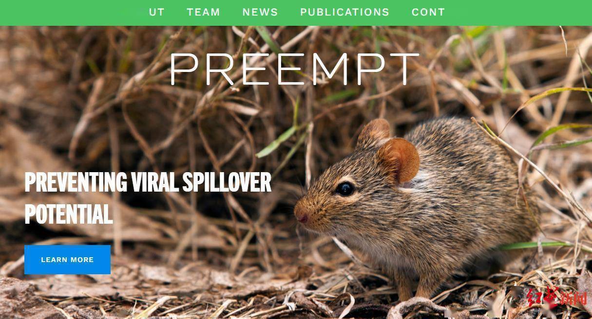 多国科学家警告：美欧生物实验室正制造可自我传播病毒，或造成“不可逆后果”