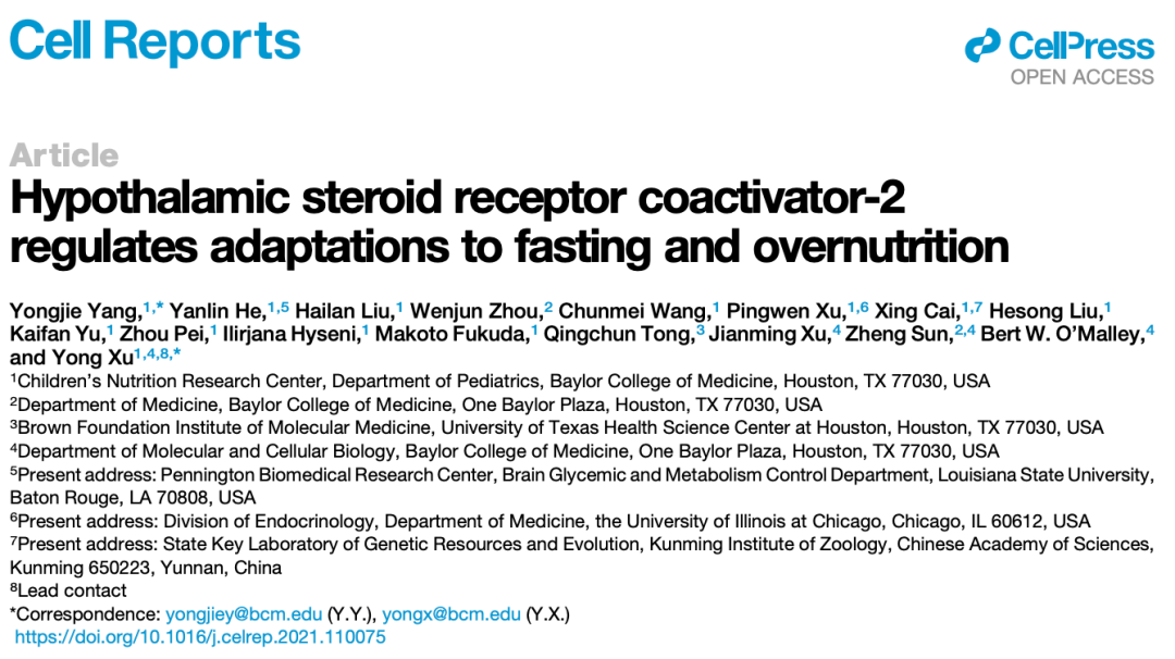 食物|《细胞》子刊：贝勒医学院徐勇团队发现SCR-2调节动物对禁食和营养过剩的适应性