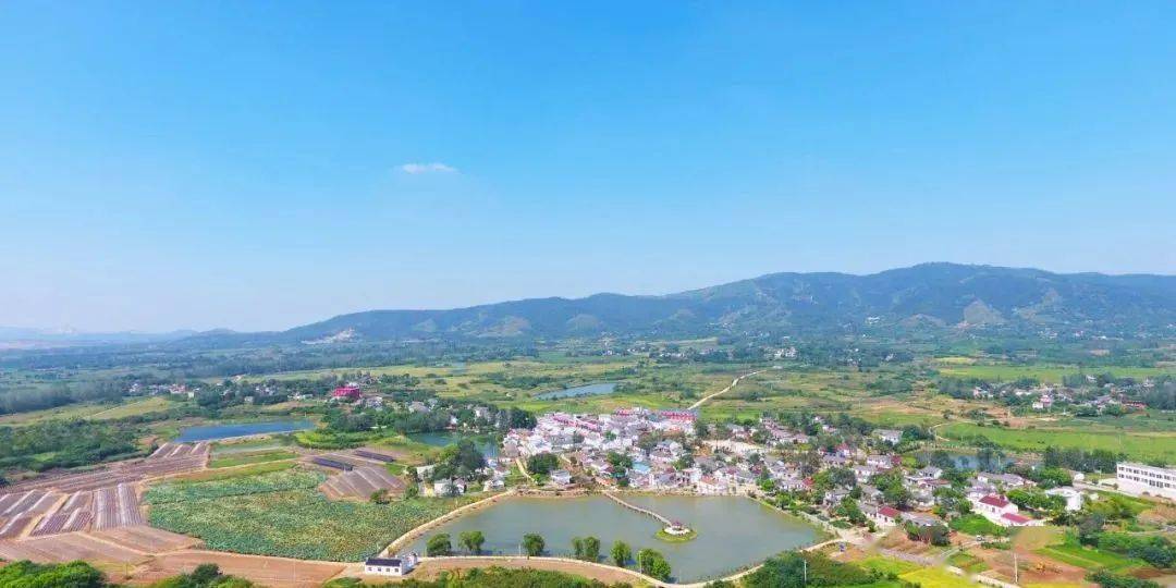 你好,庙岗镇_巢湖市_庙岗乡_行政区划