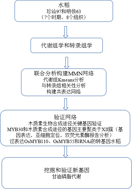 08b2afe489ab48a6982c8107ded8b2e9.png