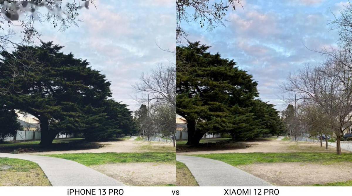 小米12pro对比iphone13promax拍照这才是最真实的样张