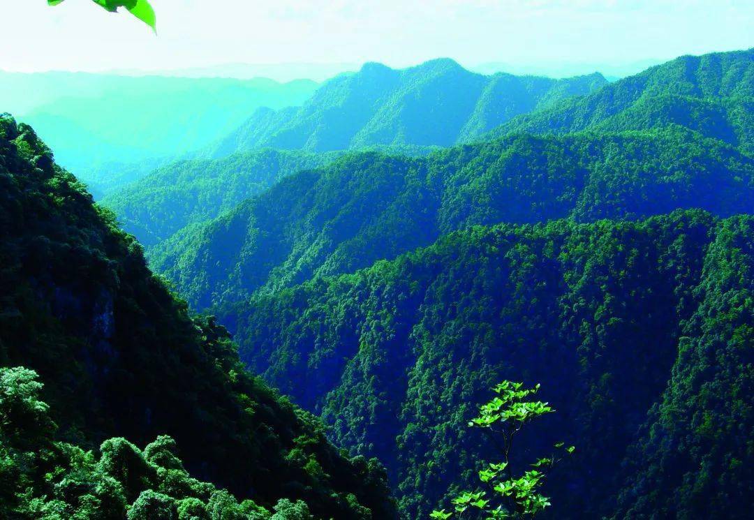 景点|“人间仙境”——三百山