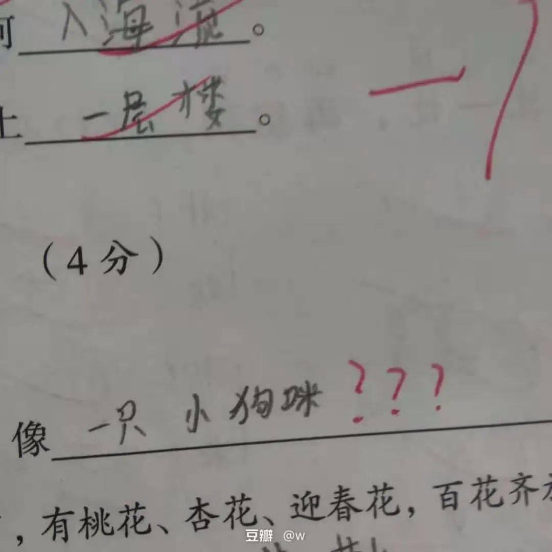 小王造句子一年级答案
