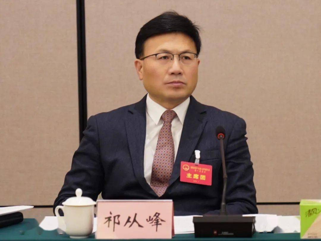 人代会县委书记祁从峰参加县十九届人大一次会议开发区代表团审议