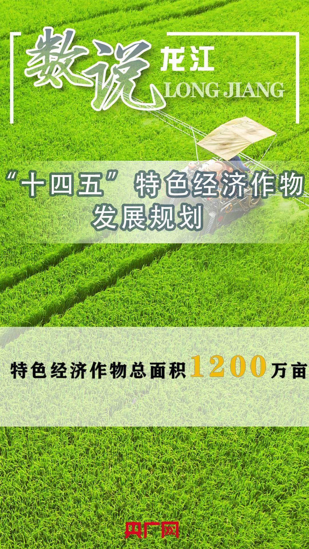 【数说龙江】“十四五”特色经济作物发展规划