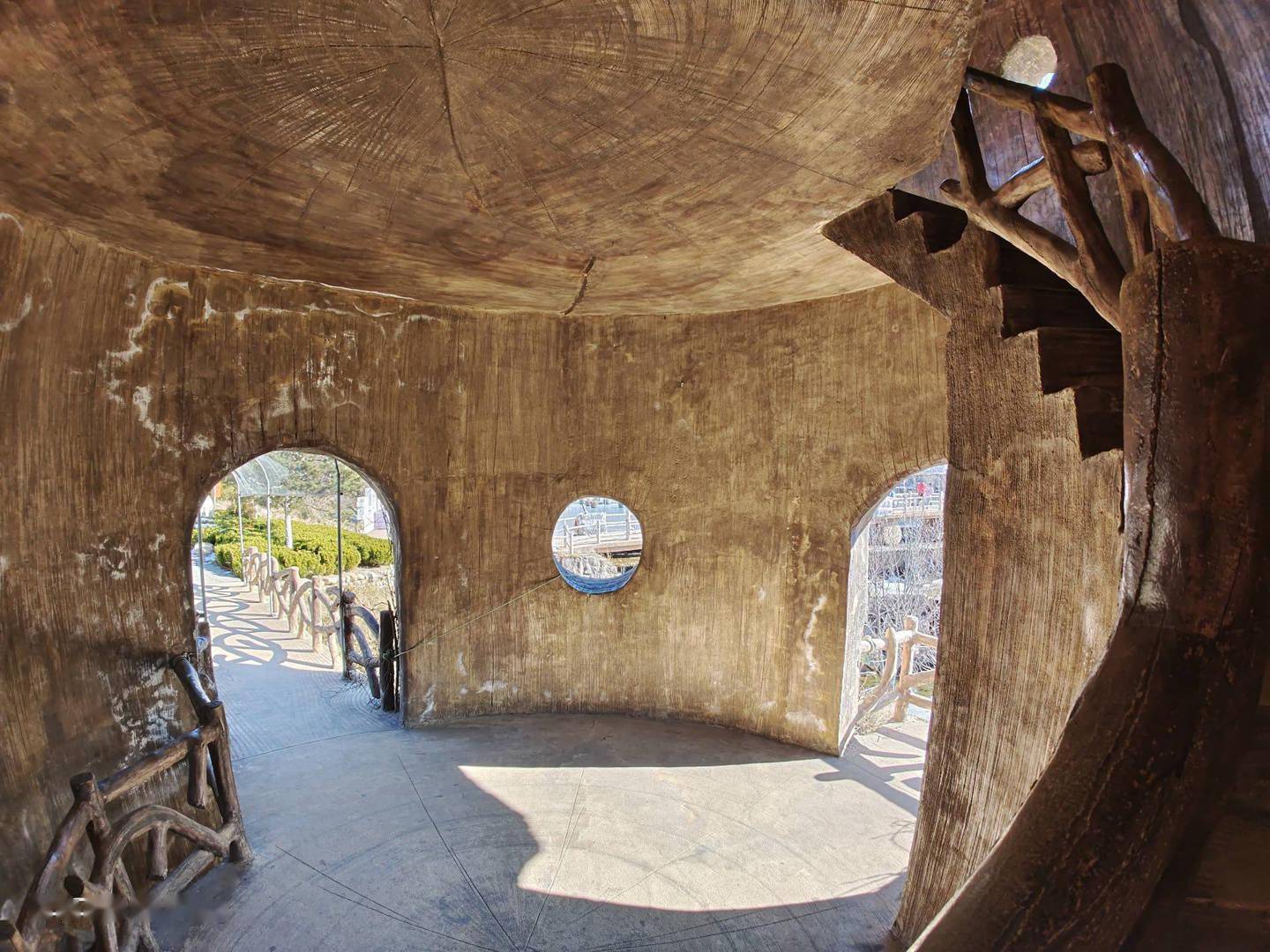 iQOO9 Pro 影像体验：首发三星 GN5，定格精彩瞬间