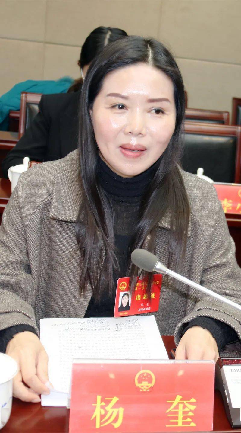 杨奎代表建议,市人民政府在乡村振兴工作中给予沿河县政策和资金的