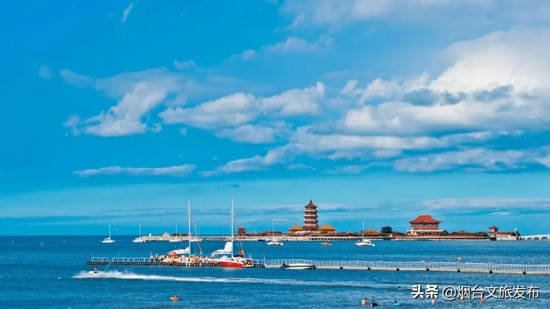 海鸥|海鸥、大海，来一场浪漫的邂逅吧！一起走进仙境蓬莱贺年会——滨海鸥遇蓝色游?