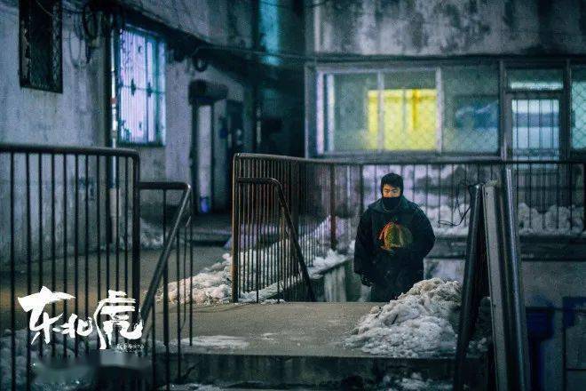 鹤岗|它,不止有马丽和章宇!