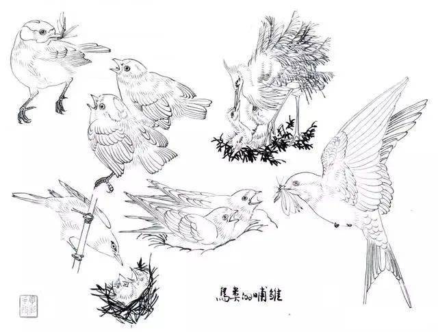 什么叫做白描手法 29890044362048fbaa684aa6927154c8.jpeg