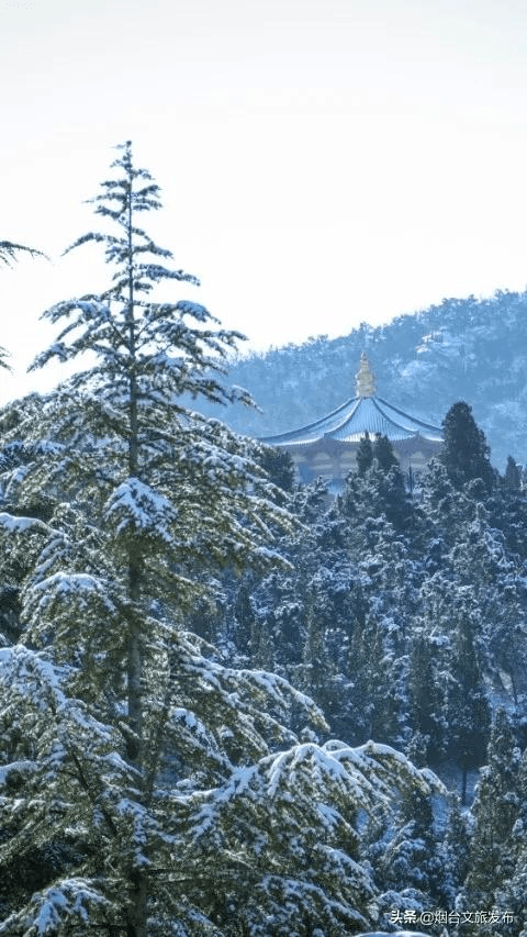 hola|冬有三白是丰年 雪在南山迎喜年