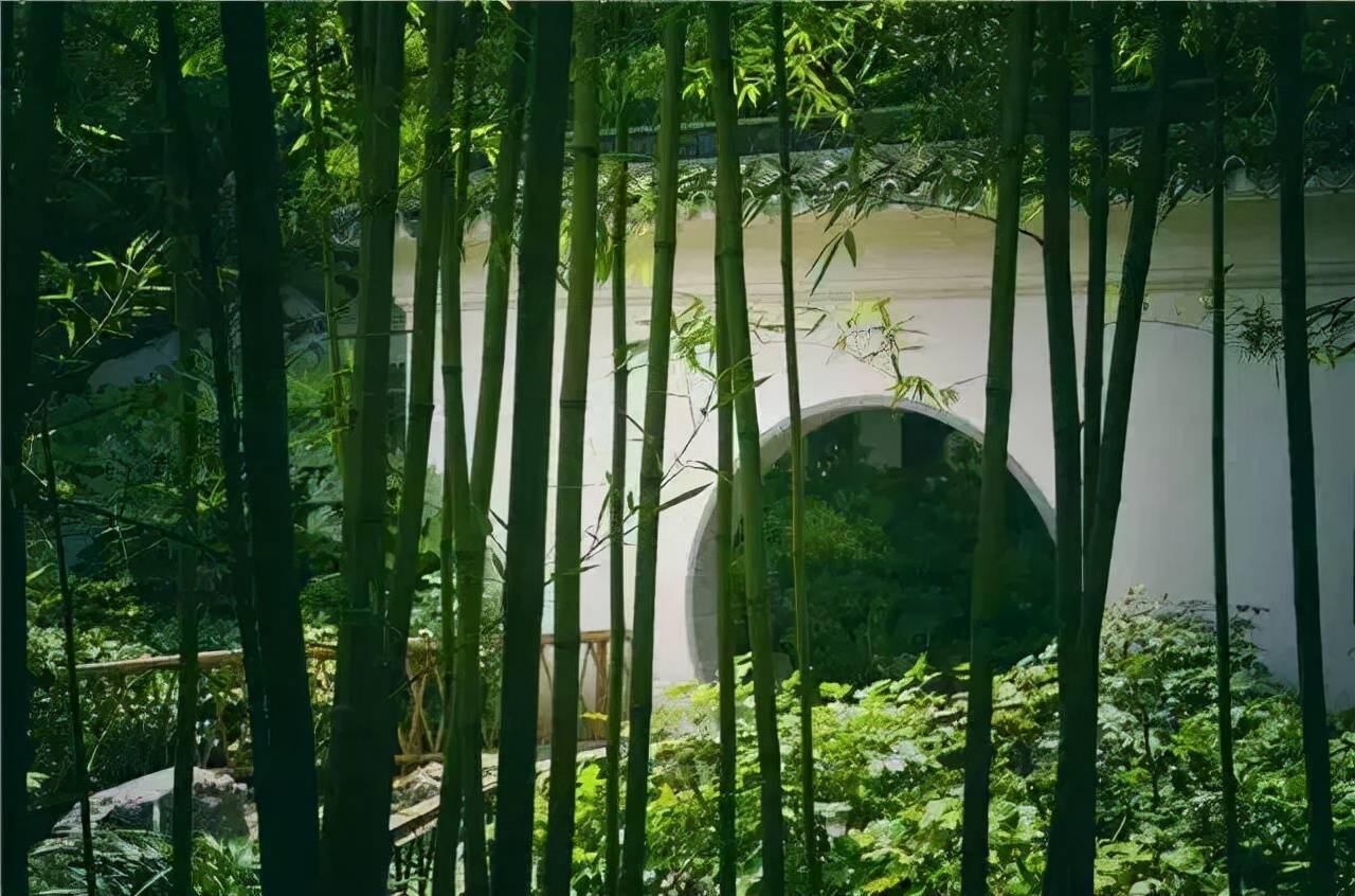 竹院的四季,是任何一种院子都比不上的_刚时_烈日_淡泊