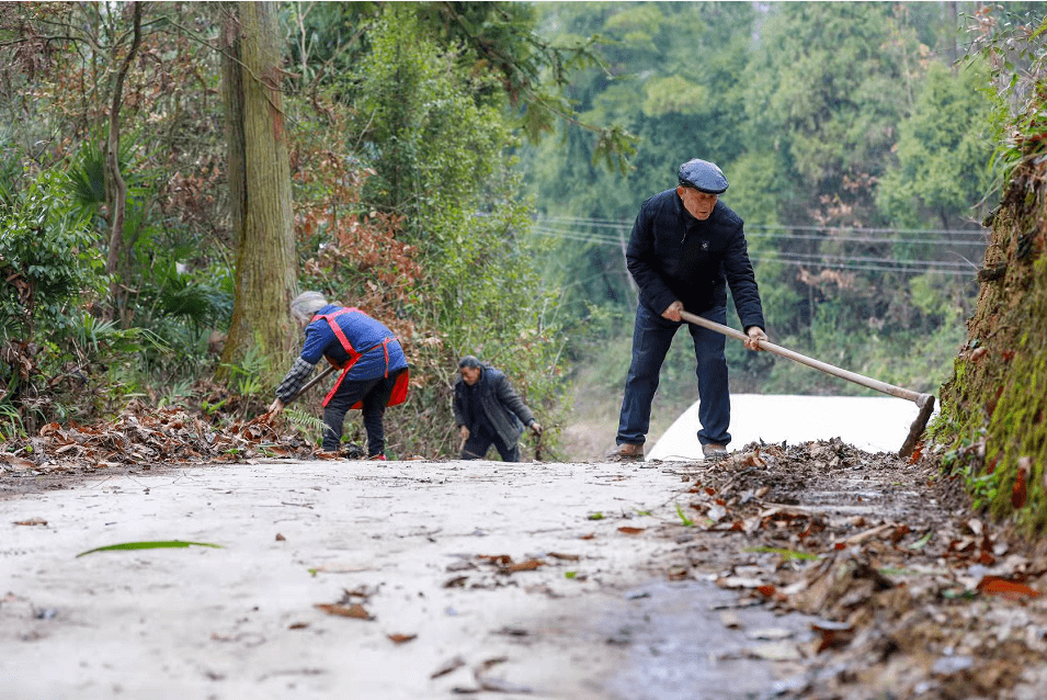 凤凰村村民自发大扫除扮靓村道迎新春
