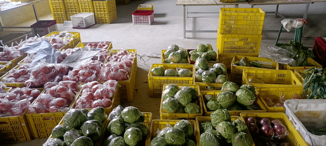 现煮现卖蔬菜 80368e9f0182468c9da527f561eb4f73.png