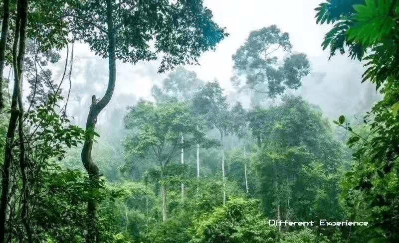 成长|教育好孩子，不仅需要技巧，更需要智慧