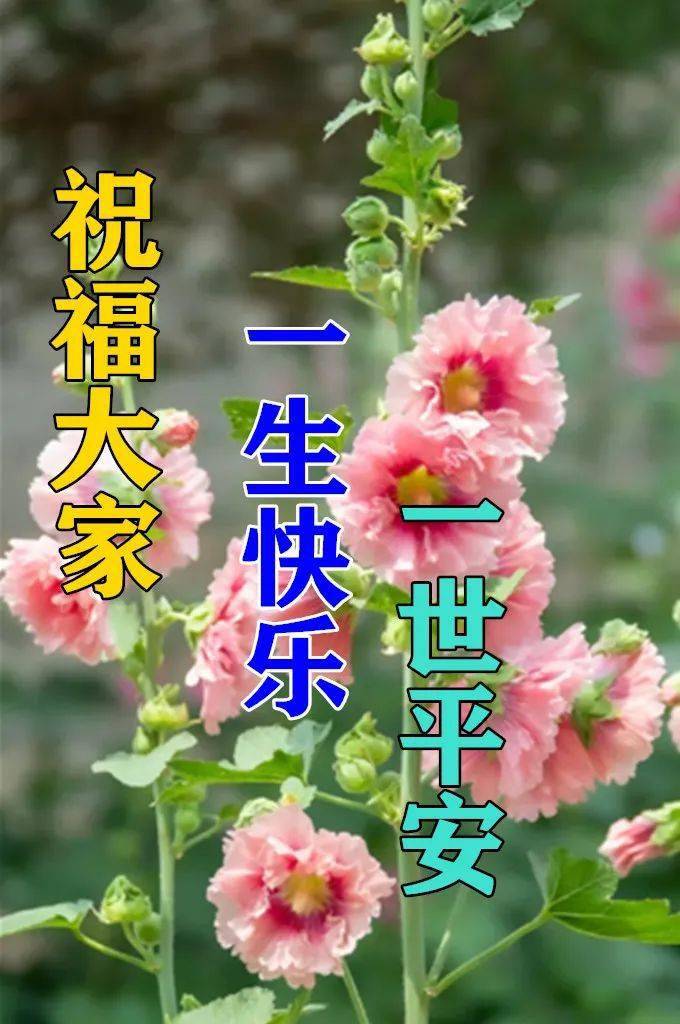 1月15日最漂亮早上好動態表情圖片大全早晨好動圖美圖大全