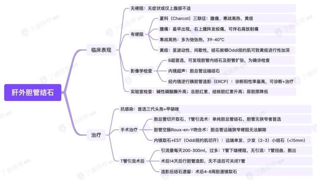 思维导图 