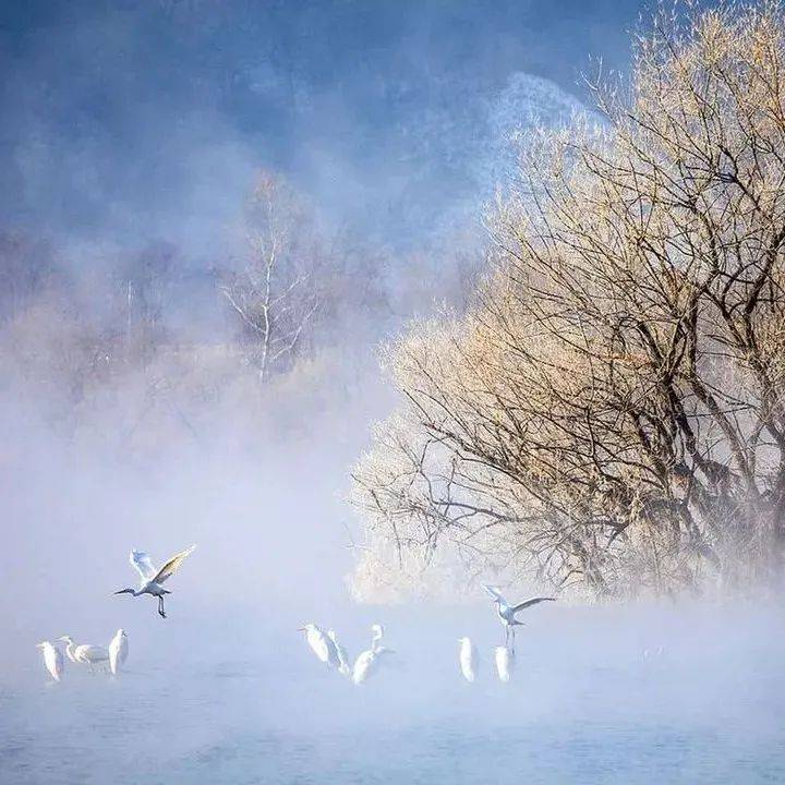 冬景,那么美!_fuhua_Photo_com
