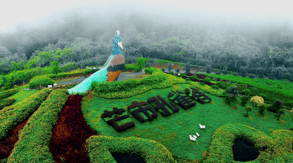 孔雀之乡风情芒市美名德宏芒市