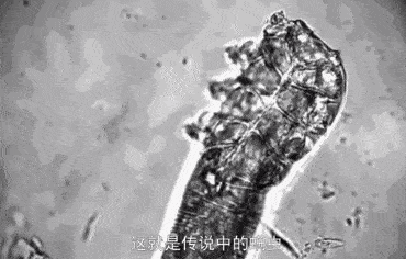 国货你的头发，影响了你80%的颜值