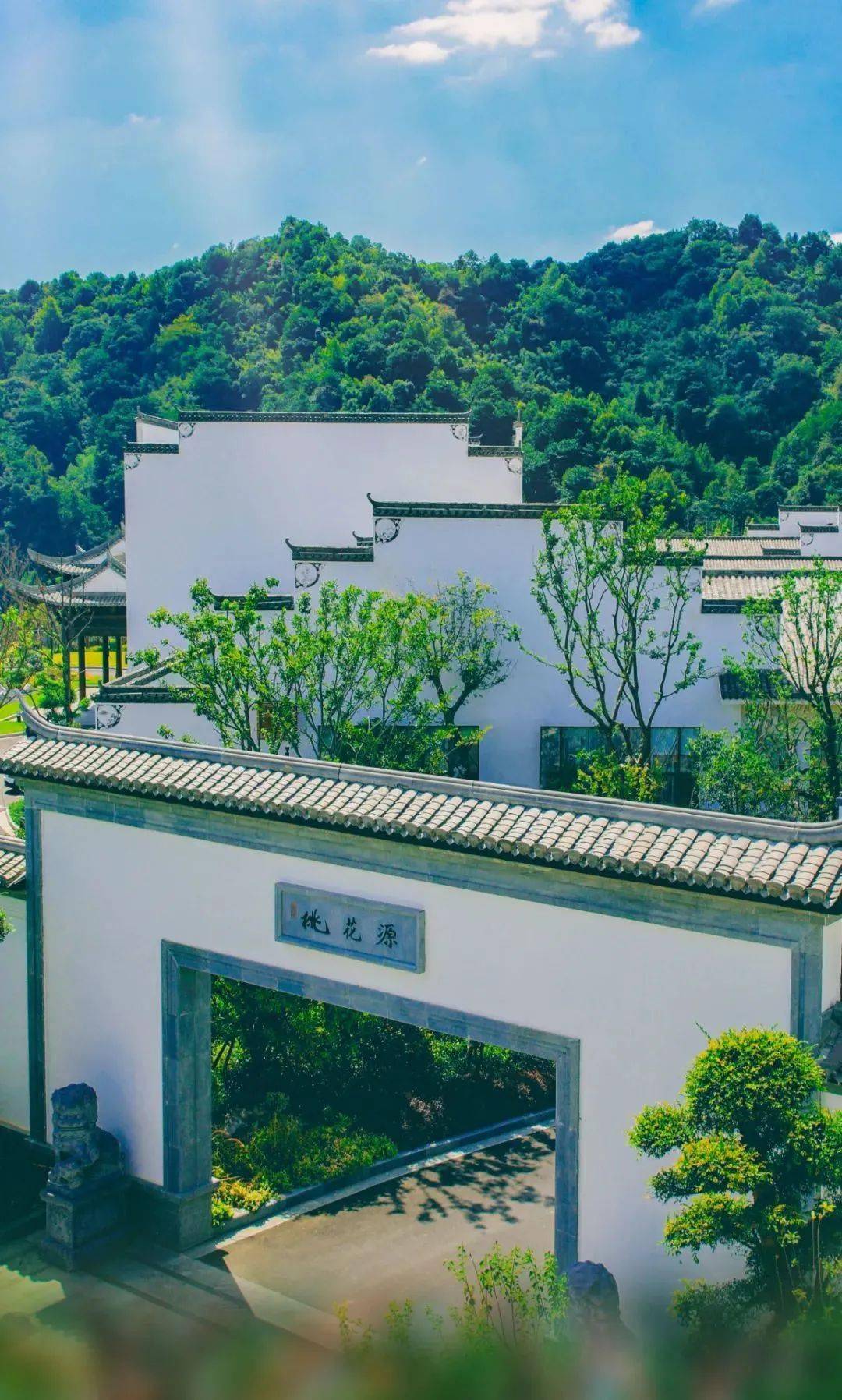 就在这周又一全国性赛事在婺源开赛