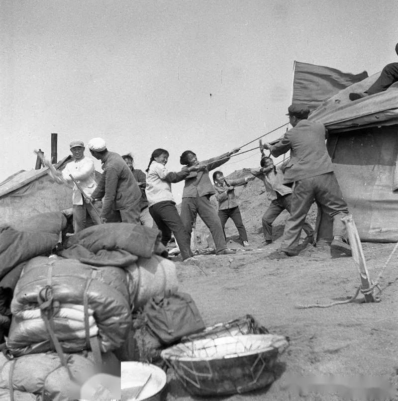 856关注一组来自856农场的老照片轰动国人