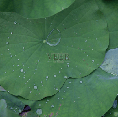 cbd0c13dbda743e19fbc95e6941612eb.png