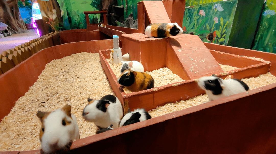 店铺信息青铜古镇徕·汤泉【地址】:吴忠青铜峡市峡谷路与z208交叉口