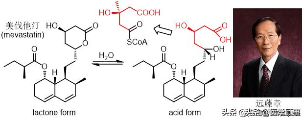 桔青霉penicilliumcitrinum他汀降脂作用的发现