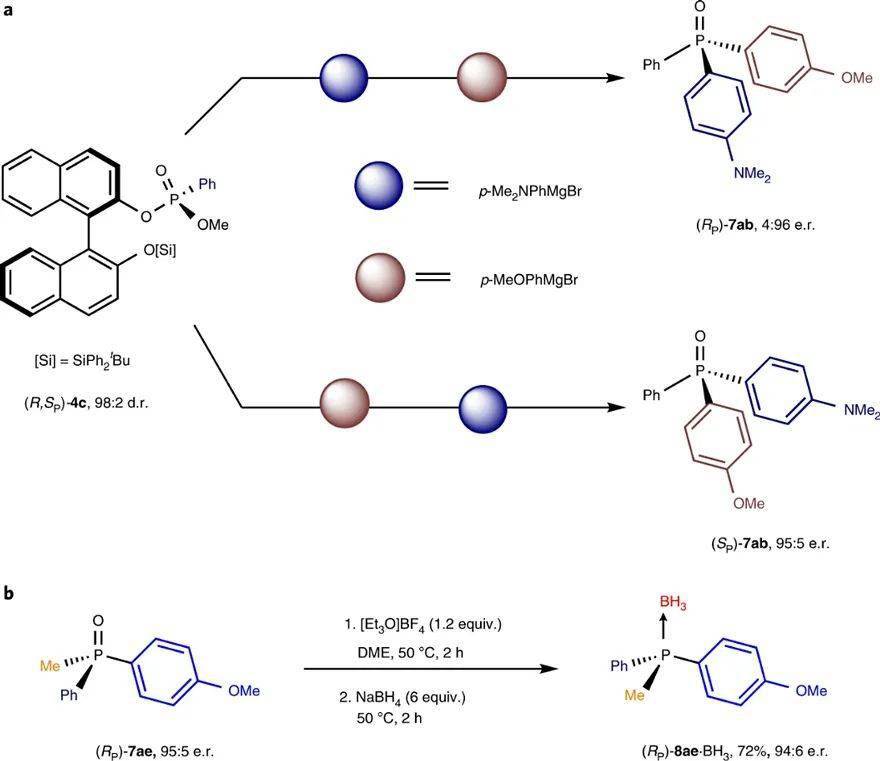 Nat. Catal.：合成P手性化合物，关键是配体_反应_催化_选择性