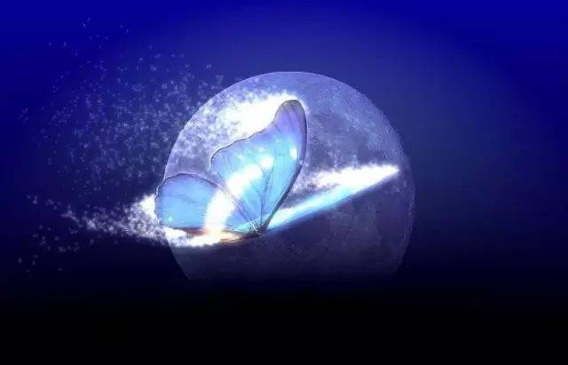 ������ȫ�ˣ�����ЧӦ�������������㷨������ЧӦ ...