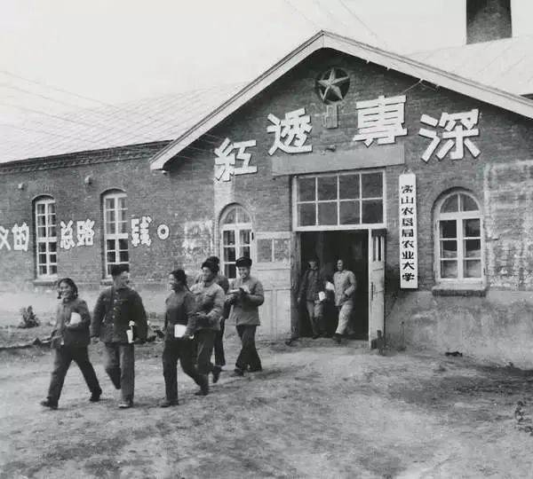收藏密山黑龙江八一农垦大学老照片