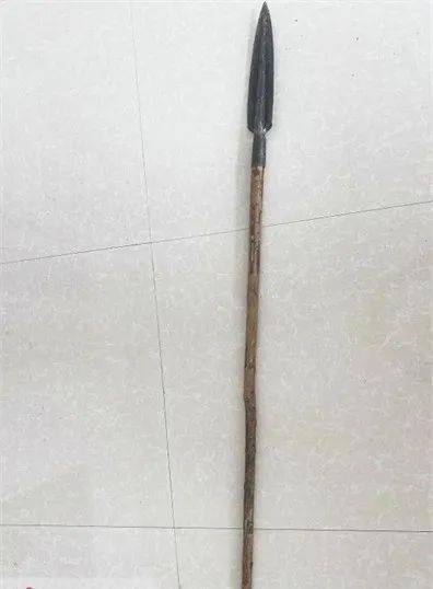 自制的长矛部分县区属于禁猎区,猎犬围猎属于禁用狩猎方法汝阳县公安