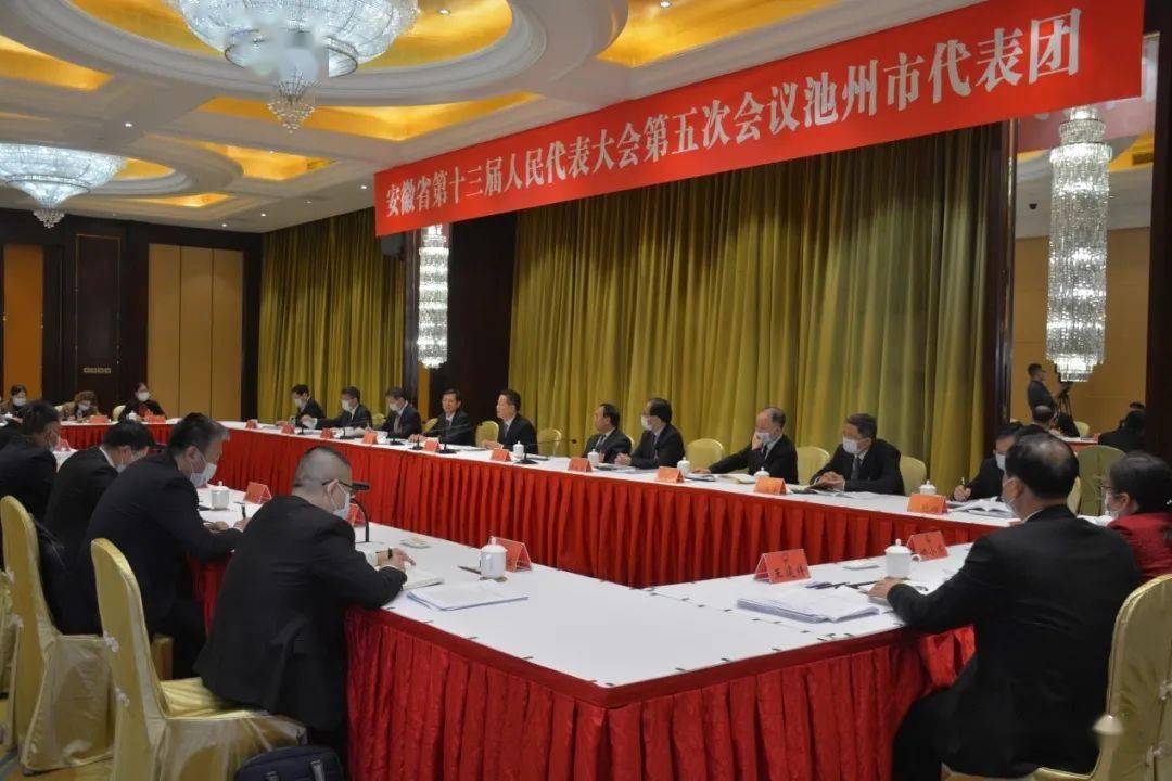 1月17日晚,省人大代表,市委常委,区委书记马胜利在池州代表团审议省