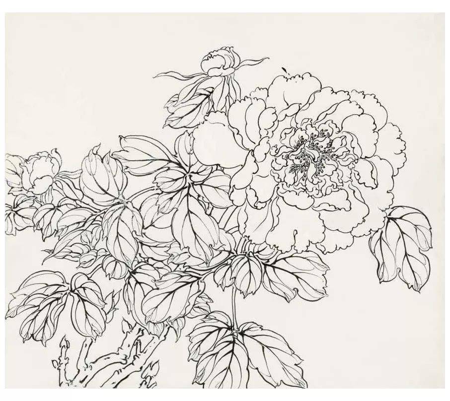 白描所用的工具也就是工笔画所用的工具,以细笔为主,勾线用狼毫或紫毫