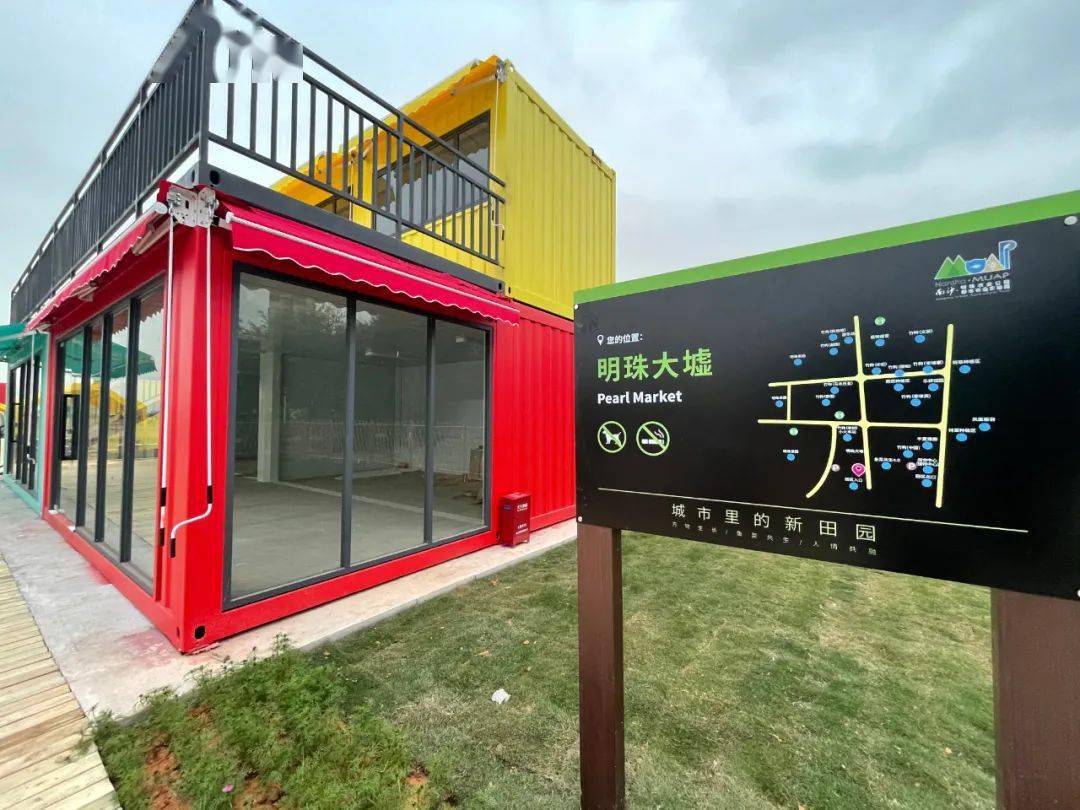 南沙超大油菜花海惊艳亮相,首个创意集装箱集市全城招募!