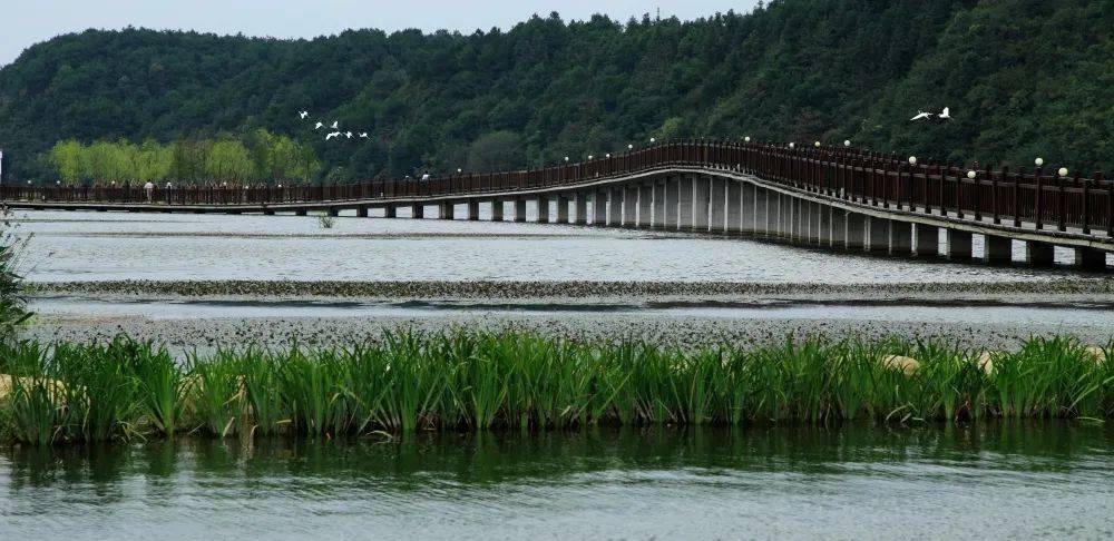 促进文旅融合 全力推动休宁文旅产业高质量发展_旅游_乡村_长三角