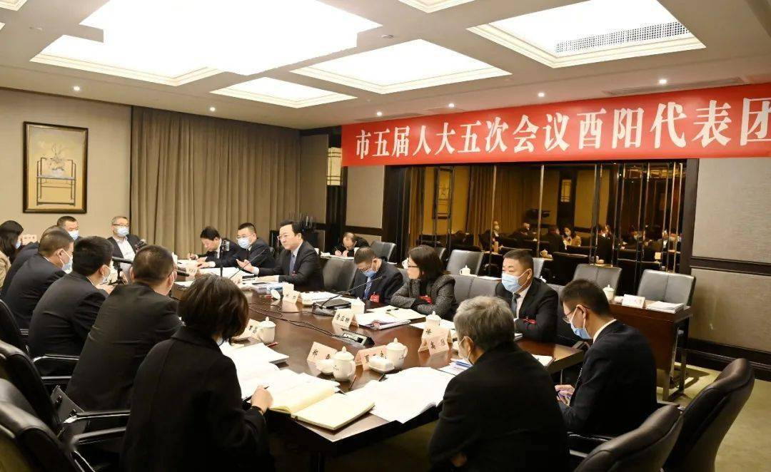 酉阳代表团认真审议市政府工作报告