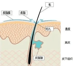 65276485a39740268cfff3623f31b33c.png