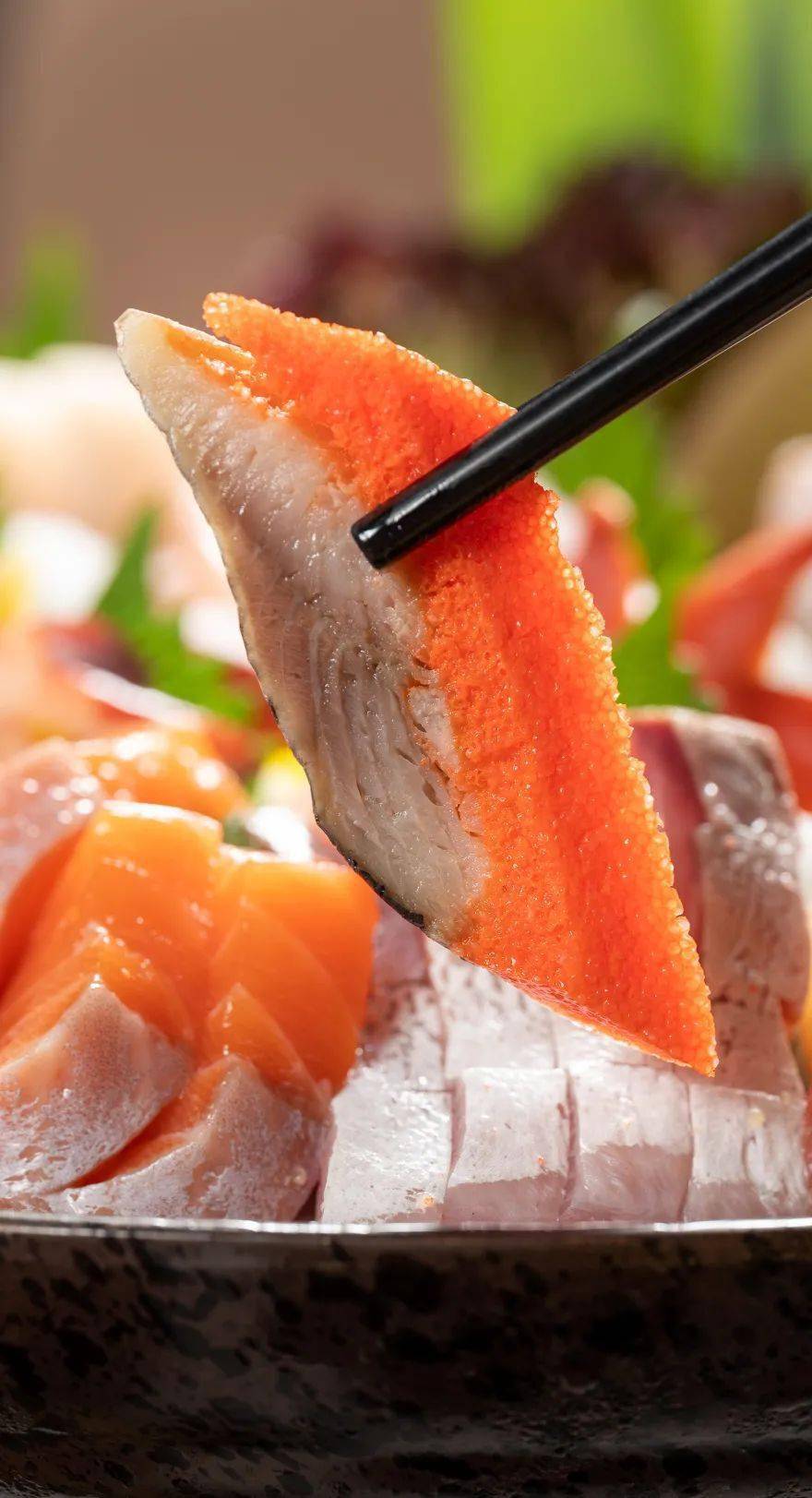 肉质鲜甜,舌尖回甘八爪鱼|红白吞拿鱼|兰花蚌三文鱼|章红鱼|北极贝