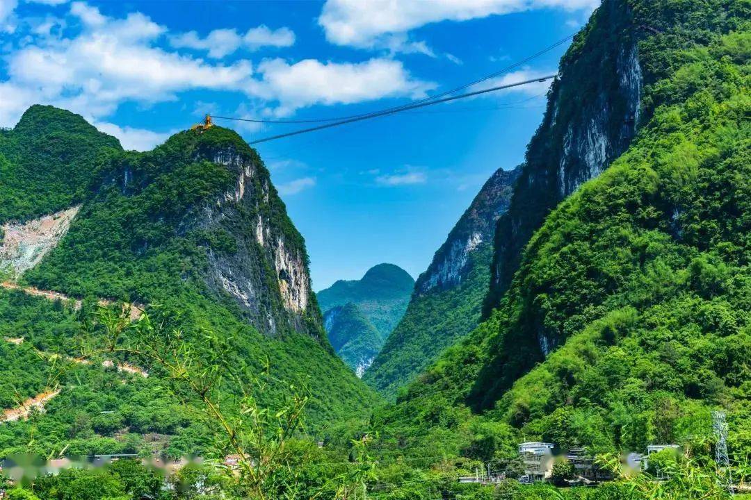 春节花开阳山美爆了漫山花开行摄千亩山楂花基地打卡千亩李花基地探峡