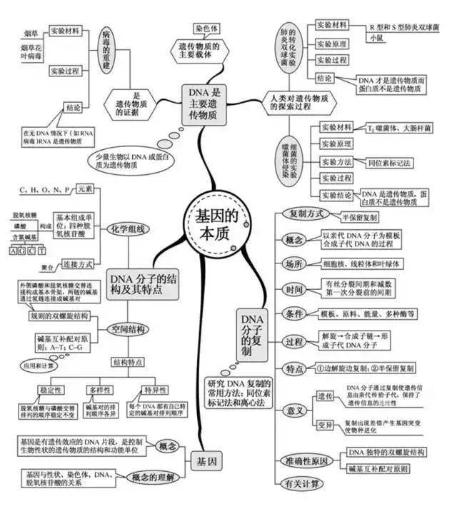 高中|高中九大学科思维导图最全汇总，高中三年都适用！（收藏）